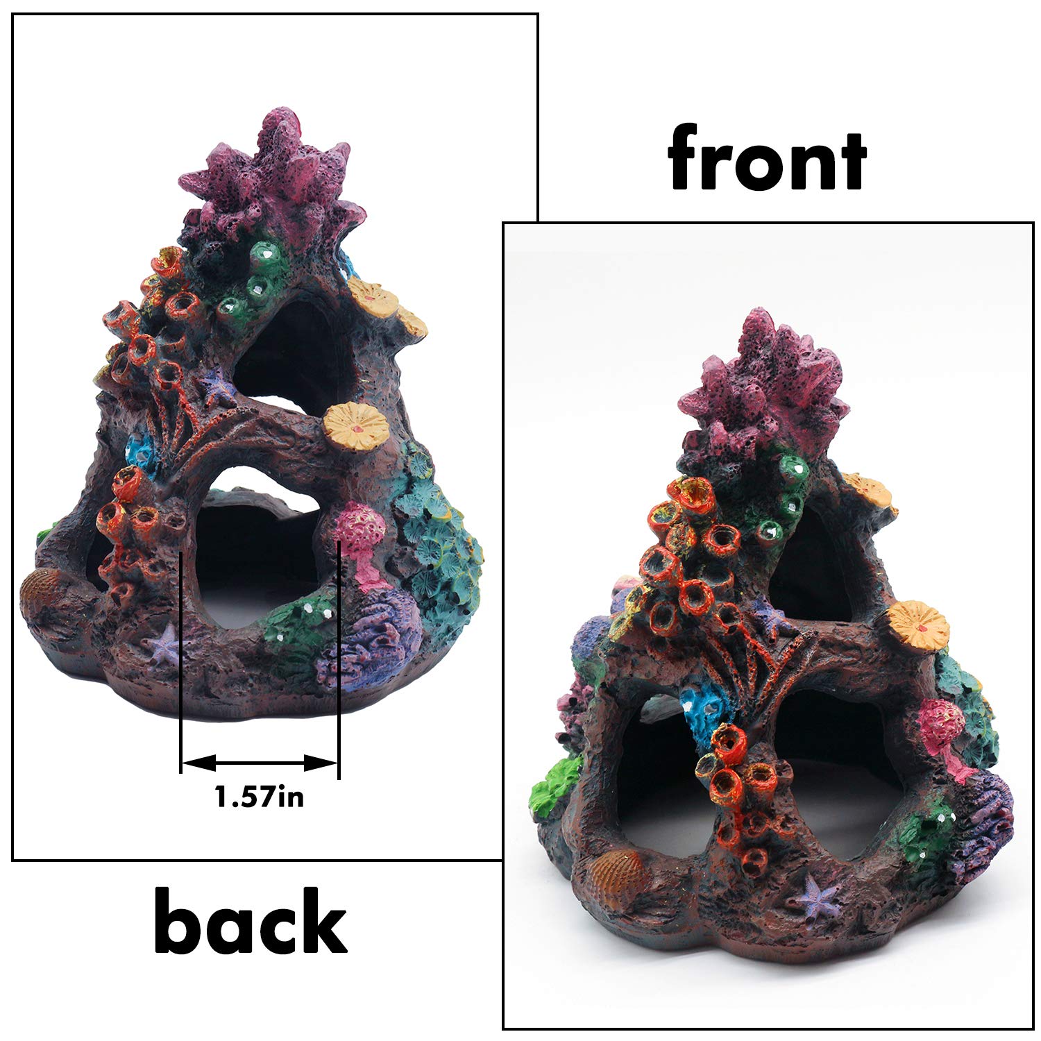 Your one-stop shop for diverse, top-quality aquarium supplies and accessories