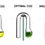 Your one-stop shop for diverse, top-quality aquarium supplies and accessories