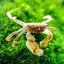 Your one-stop shop for diverse, top-quality aquarium supplies and accessories