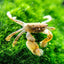 Your one-stop shop for diverse, top-quality aquarium supplies and accessories
