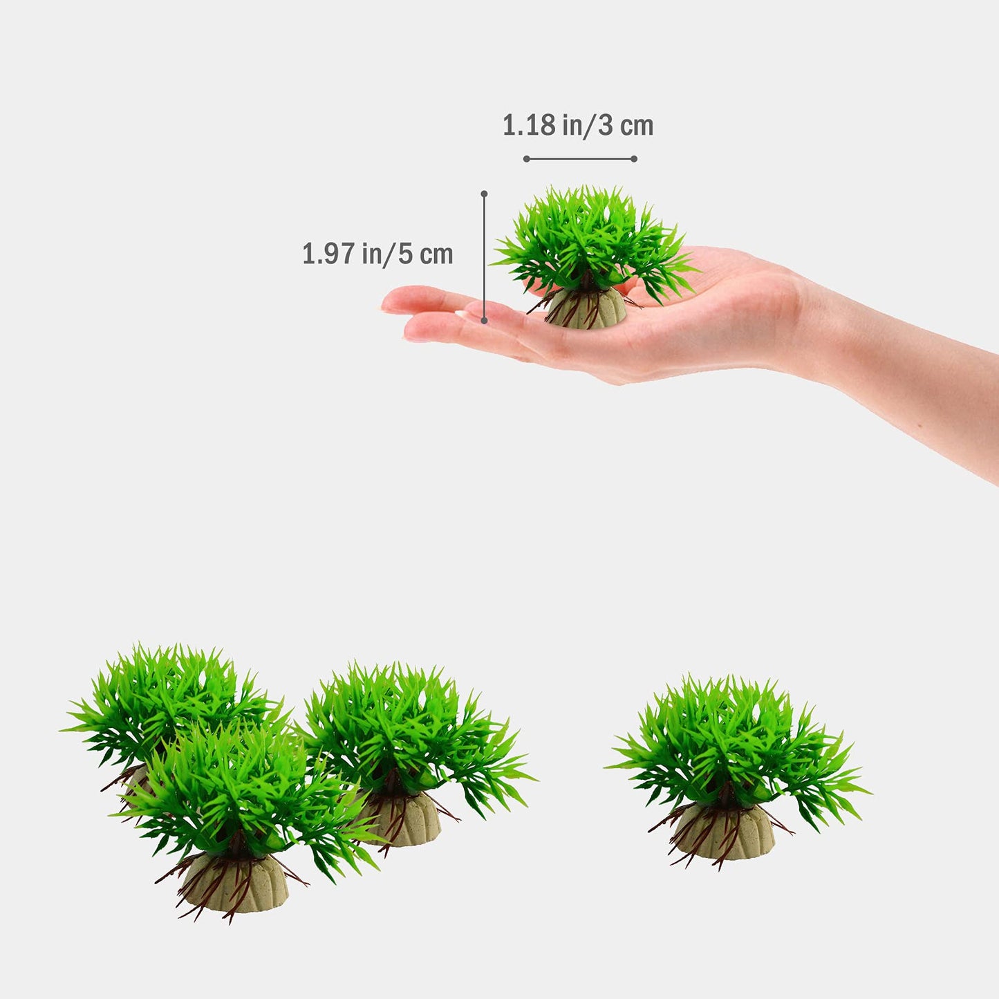 Your one-stop shop for diverse, top-quality aquarium supplies and accessories