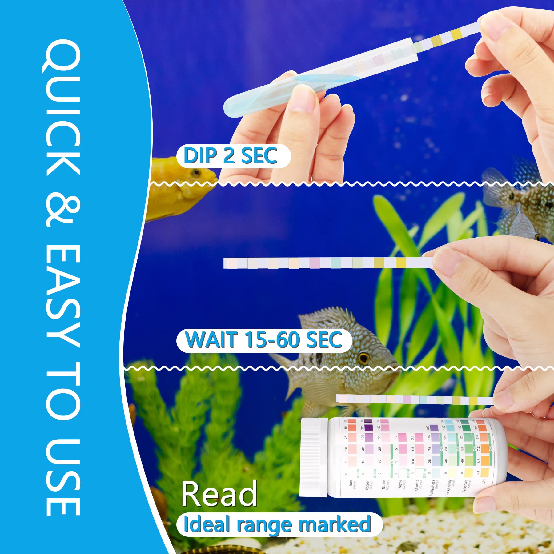 Your one-stop shop for diverse, top-quality aquarium supplies and accessories