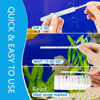 Your one-stop shop for diverse, top-quality aquarium supplies and accessories