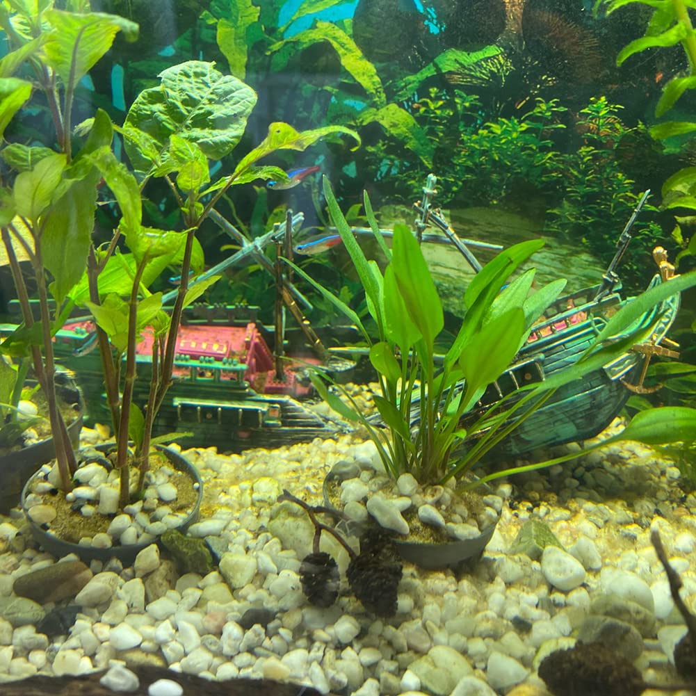 Your one-stop shop for diverse, top-quality aquarium supplies and accessories