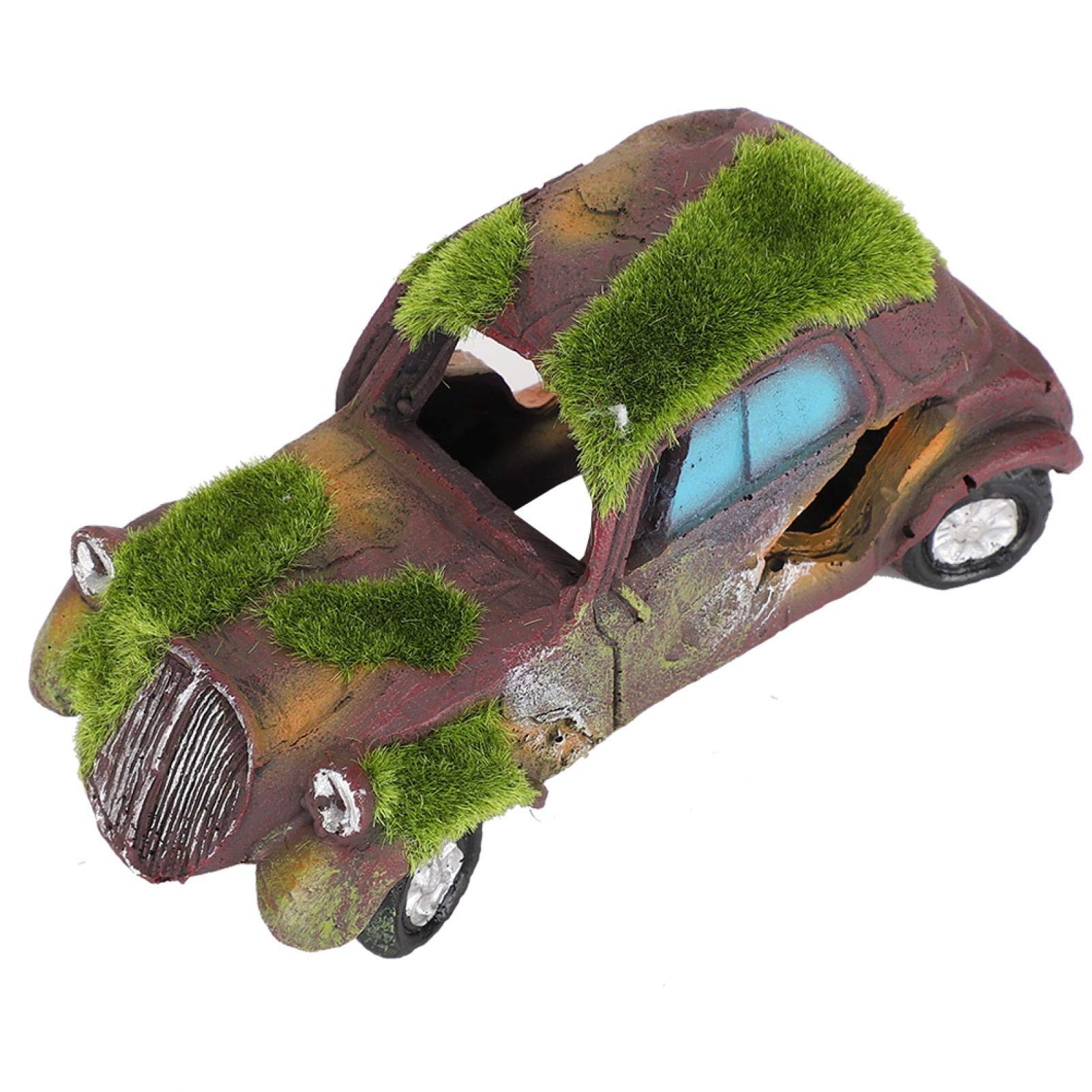 Your one-stop shop for diverse, top-quality aquarium supplies and accessories