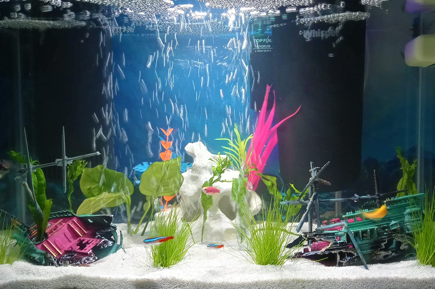Your one-stop shop for diverse, top-quality aquarium supplies and accessories