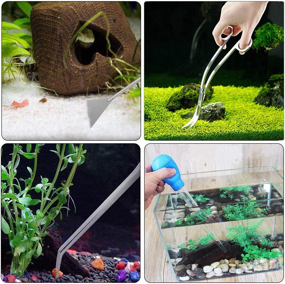 Your one-stop shop for diverse, top-quality aquarium supplies and accessories