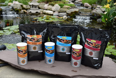Your one-stop shop for diverse, top-quality aquarium supplies and accessories