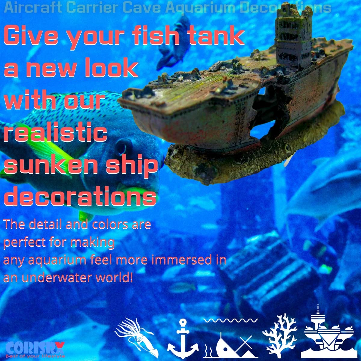 Your one-stop shop for diverse, top-quality aquarium supplies and accessories