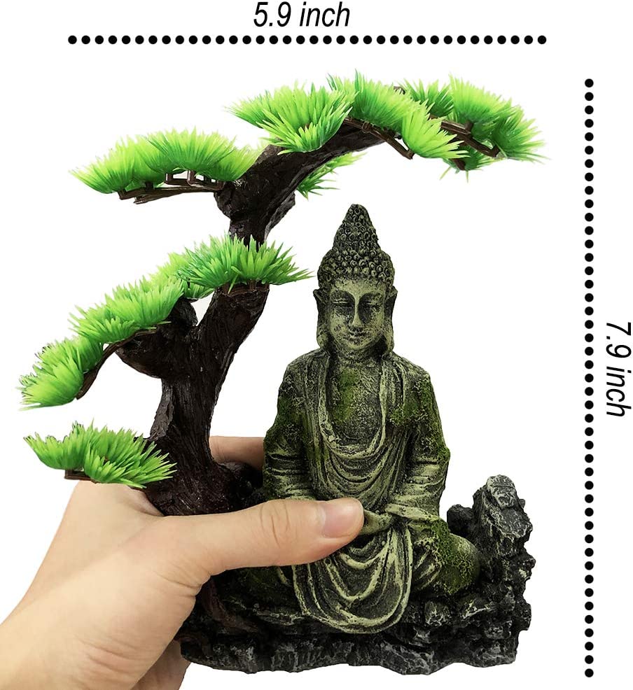 Your one-stop shop for diverse, top-quality aquarium supplies and accessories