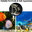 Your one-stop shop for diverse, top-quality aquarium supplies and accessories
