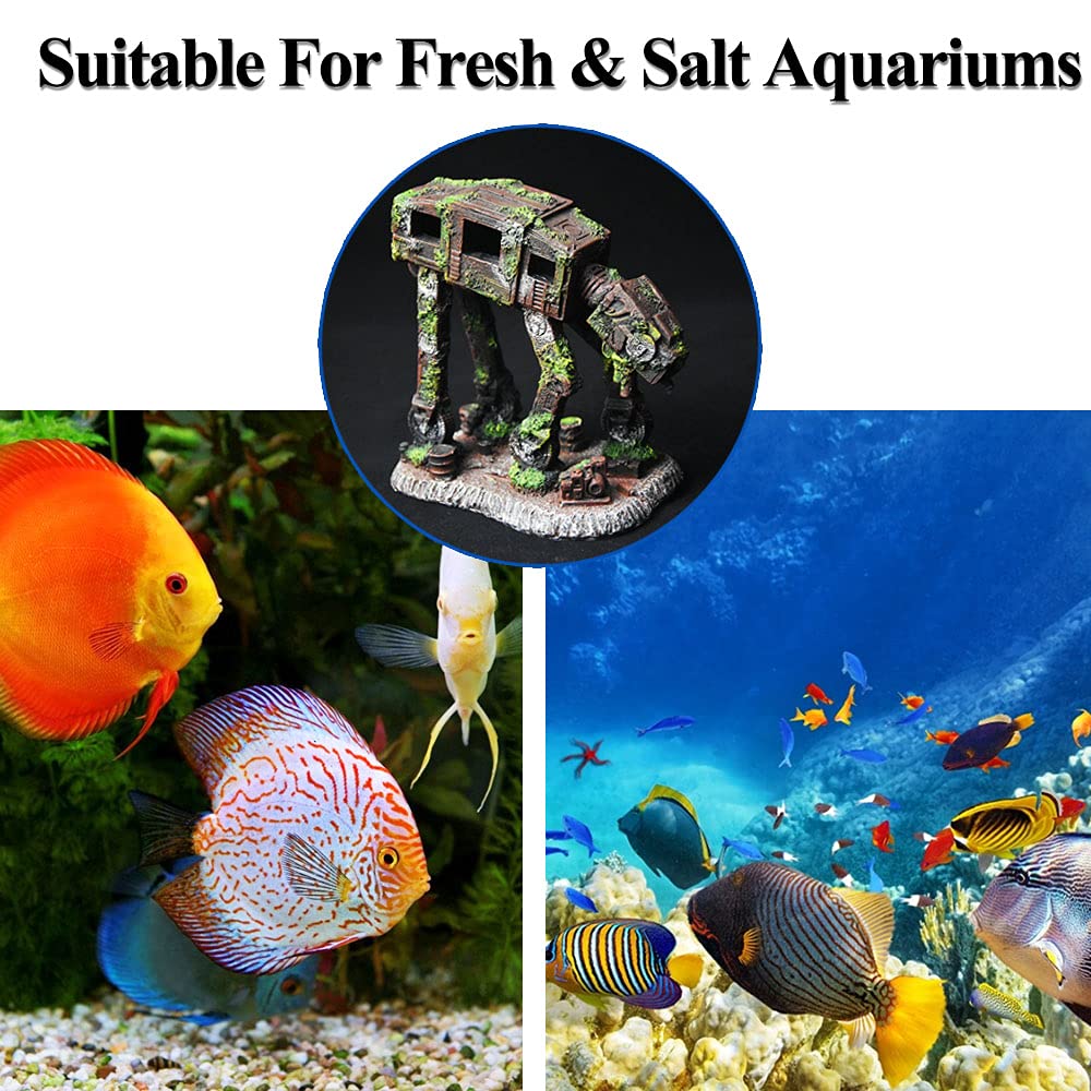Your one-stop shop for diverse, top-quality aquarium supplies and accessories