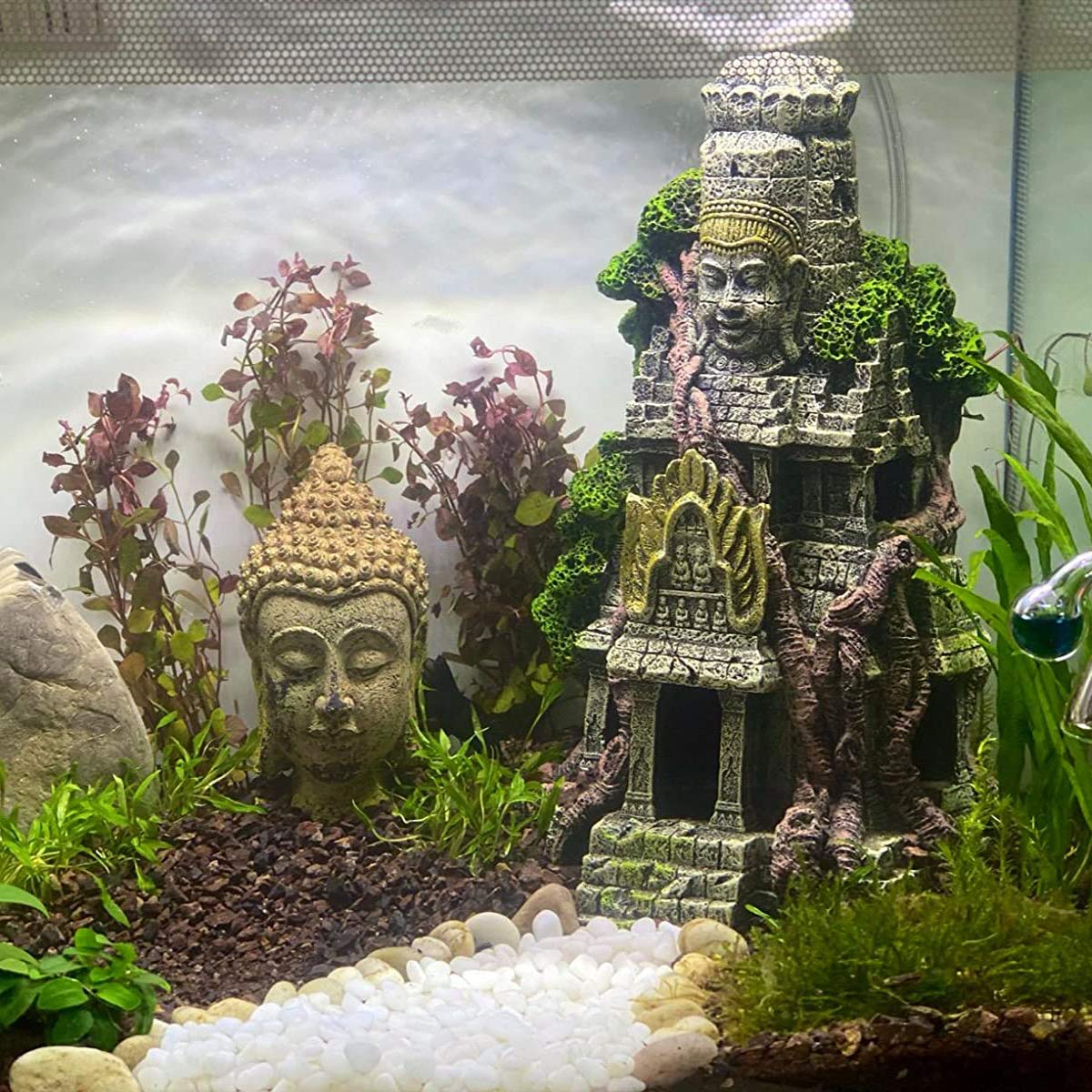 Your one-stop shop for diverse, top-quality aquarium supplies and accessories