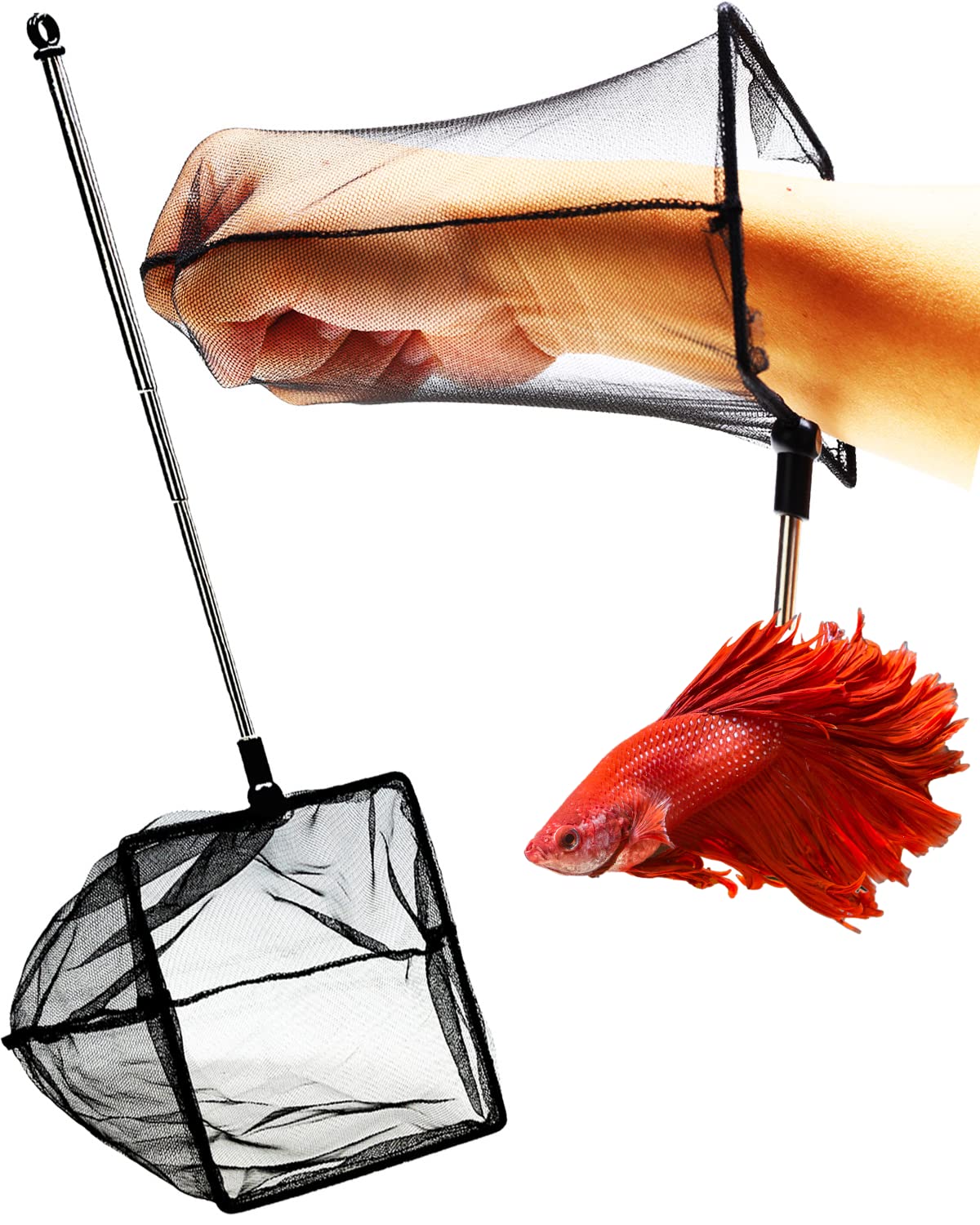 Your one-stop shop for diverse, top-quality aquarium supplies and accessories