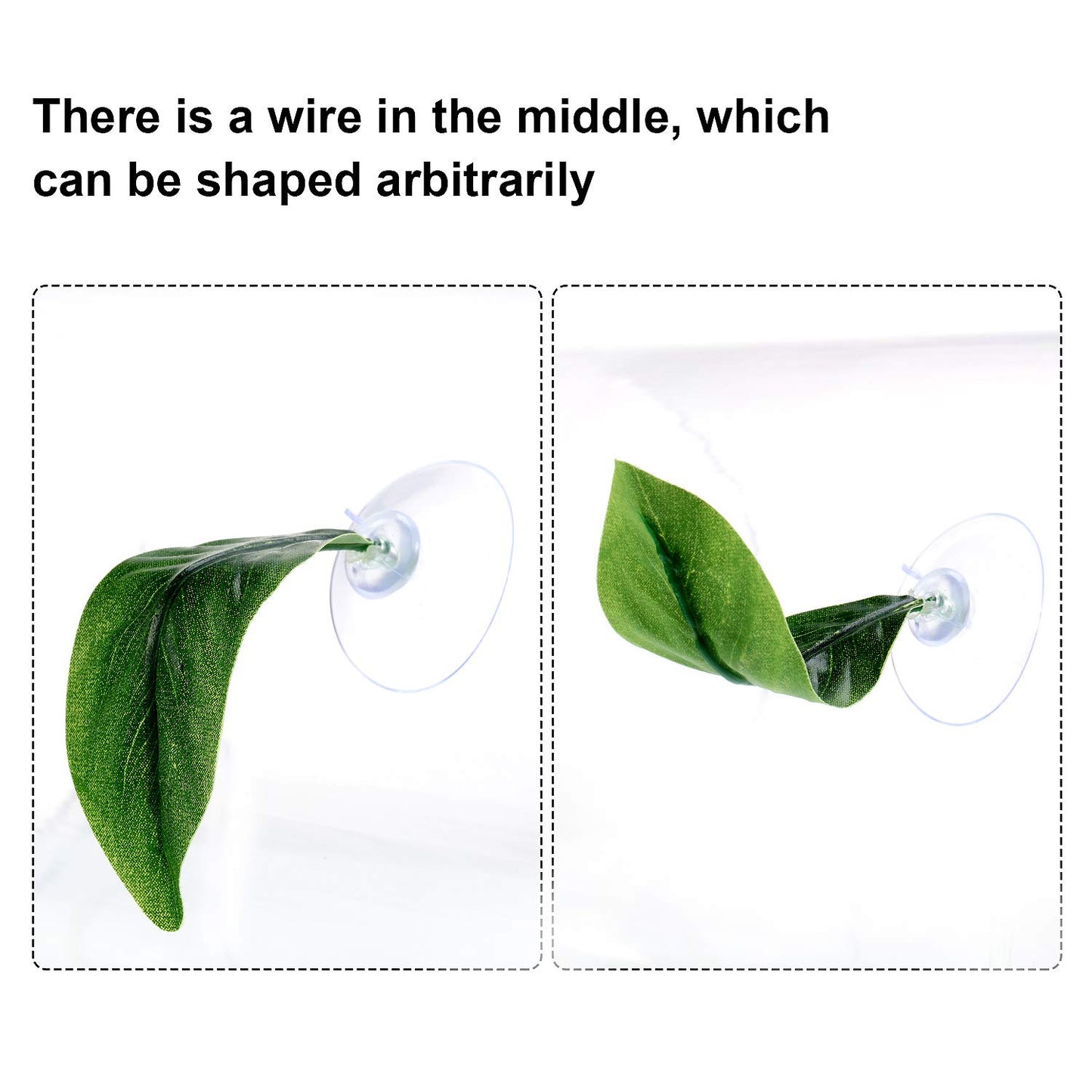 Your one-stop shop for diverse, top-quality aquarium supplies and accessories