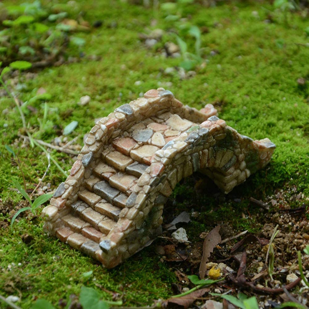 Your one-stop shop for diverse, top-quality aquarium supplies and accessories