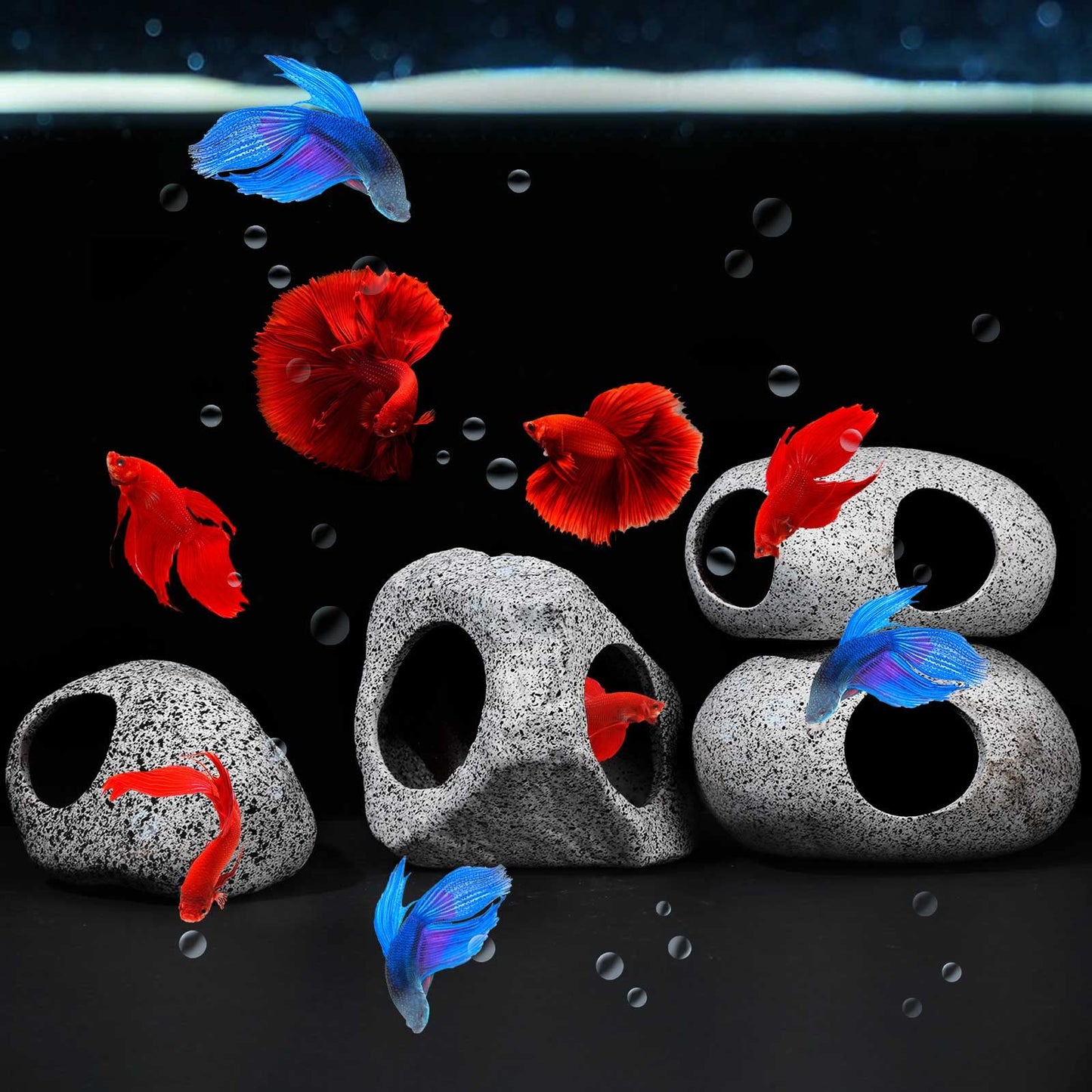 Your one-stop shop for diverse, top-quality aquarium supplies and accessories