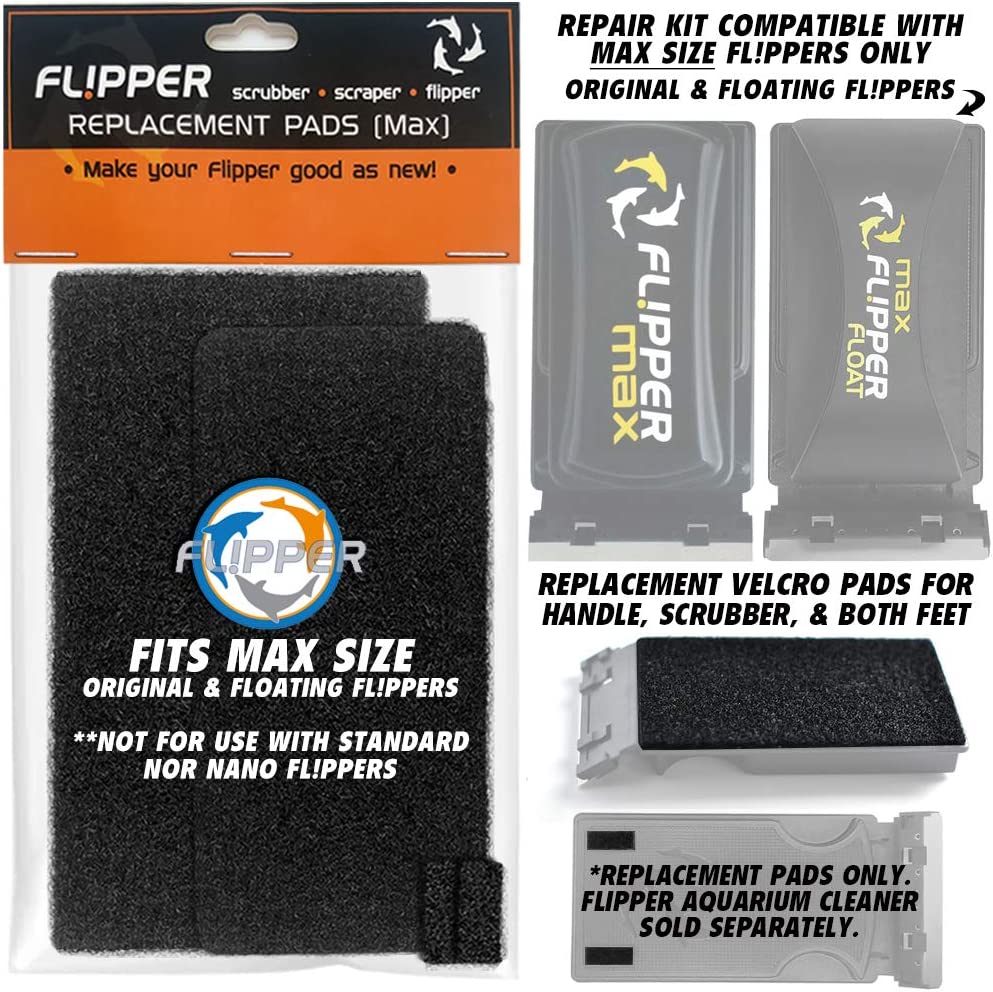 Your one-stop shop for diverse, top-quality aquarium supplies and accessories