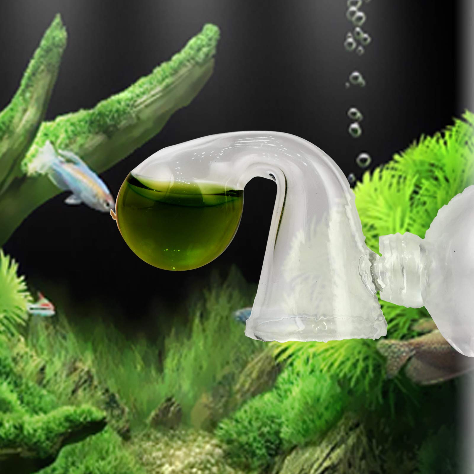 Your one-stop shop for diverse, top-quality aquarium supplies and accessories