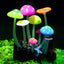 Your one-stop shop for diverse, top-quality aquarium supplies and accessories
