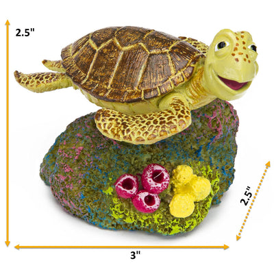 Your one-stop shop for diverse, top-quality aquarium supplies and accessories