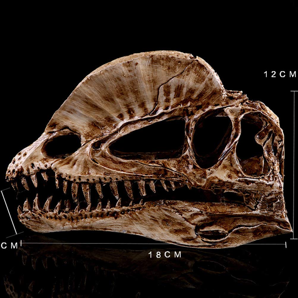 Your one-stop shop for diverse, top-quality aquarium supplies and accessories