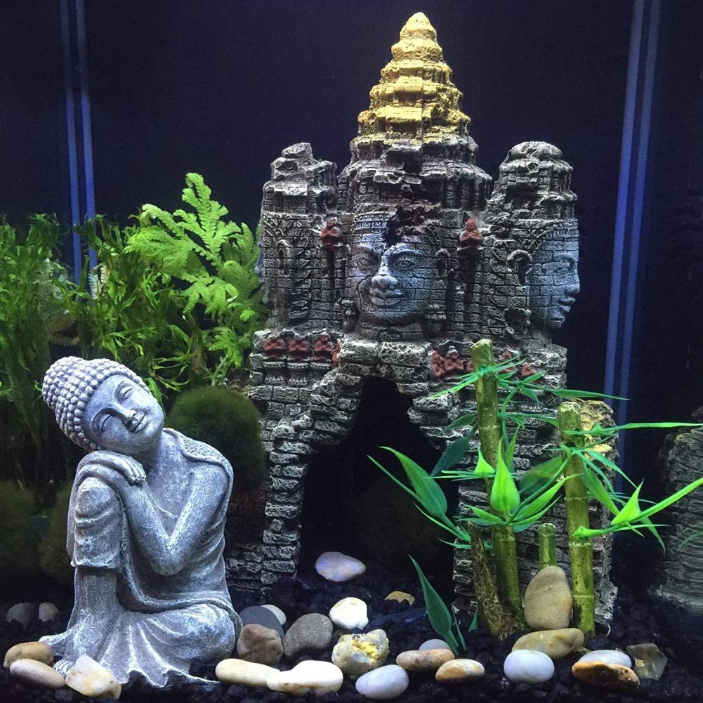 Your one-stop shop for diverse, top-quality aquarium supplies and accessories