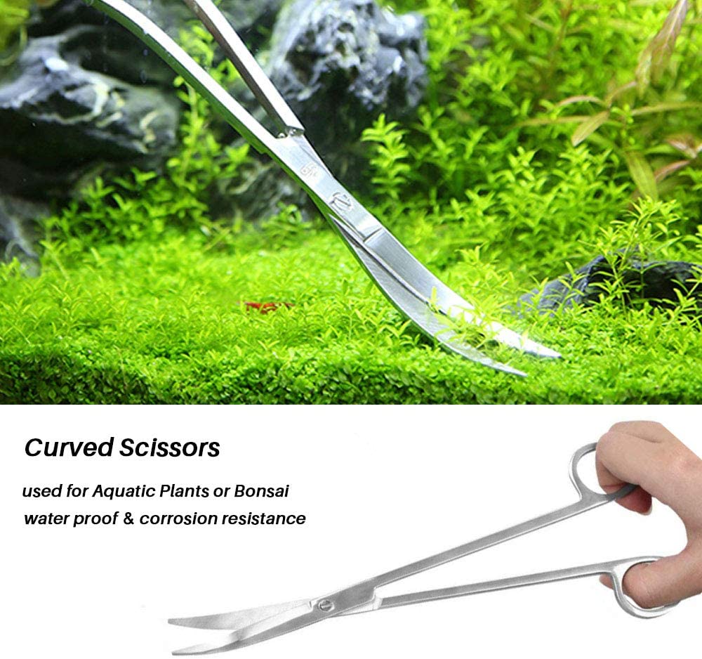 Your one-stop shop for diverse, top-quality aquarium supplies and accessories