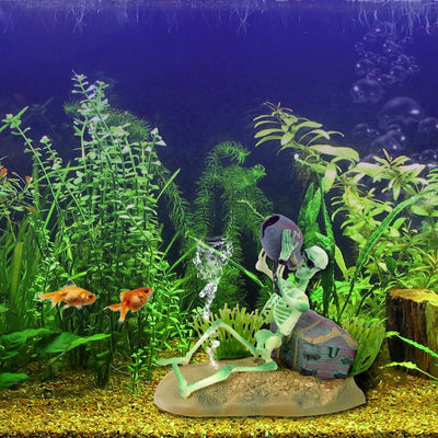 Your one-stop shop for diverse, top-quality aquarium supplies and accessories