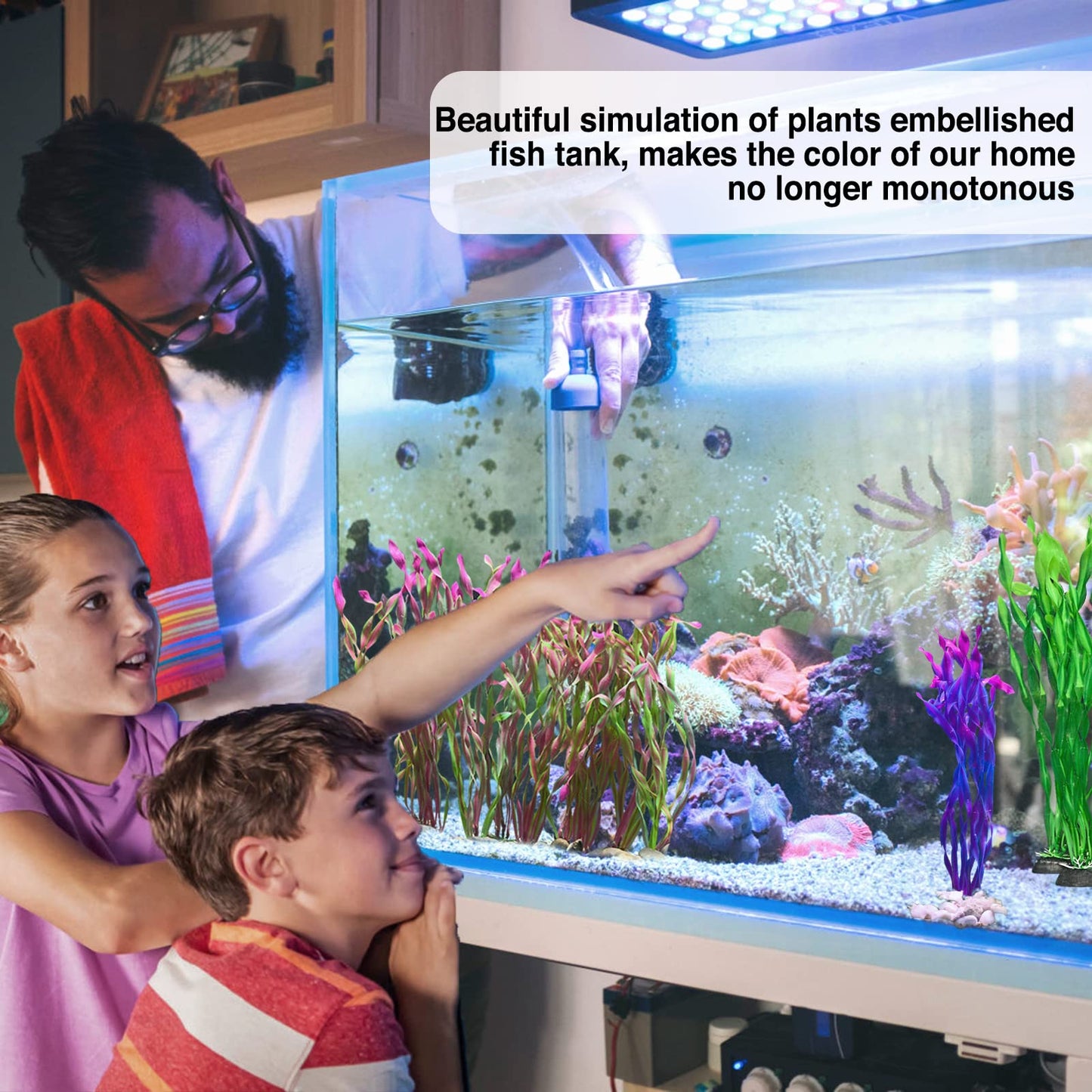 Your one-stop shop for diverse, top-quality aquarium supplies and accessories