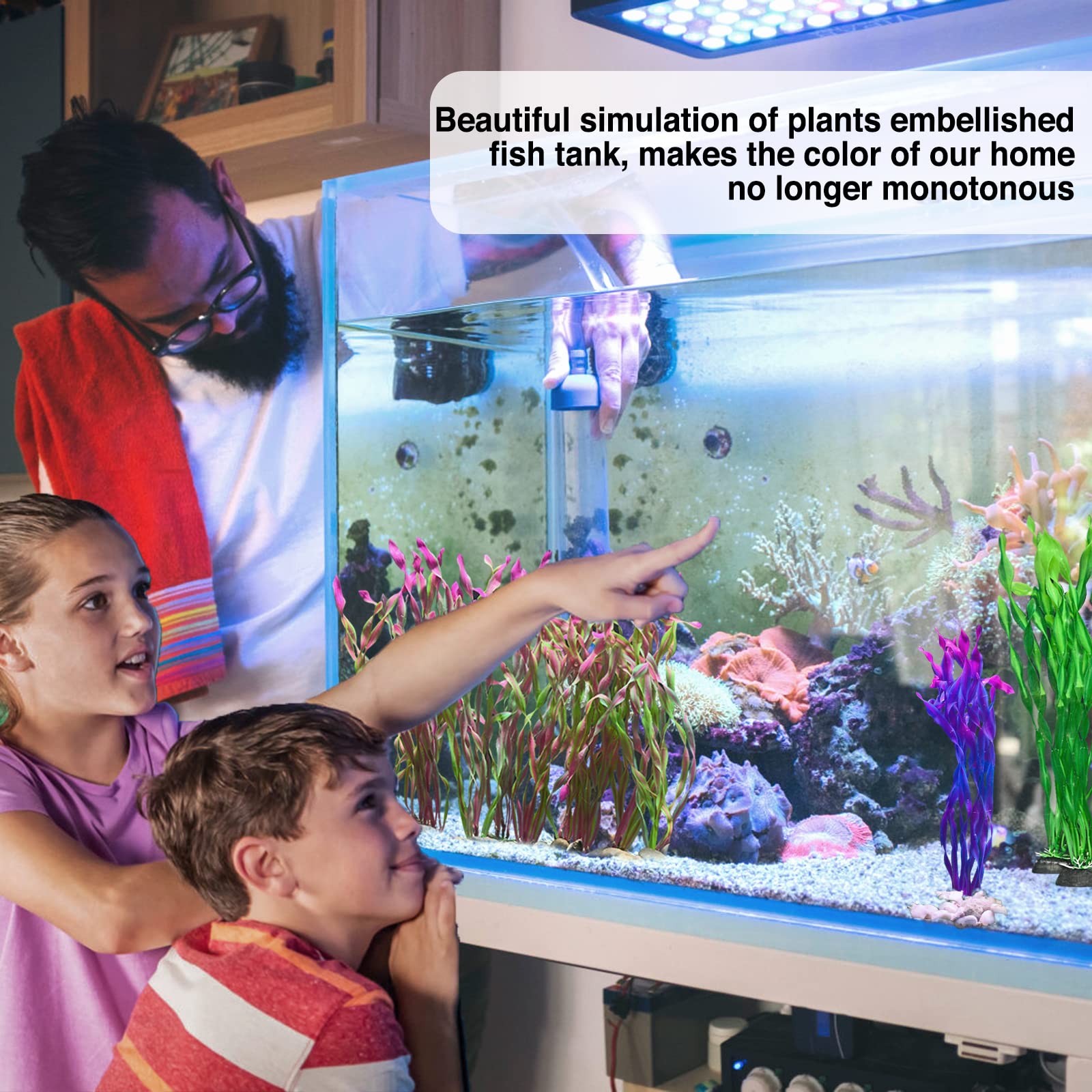 Your one-stop shop for diverse, top-quality aquarium supplies and accessories