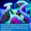 Your one-stop shop for diverse, top-quality aquarium supplies and accessories