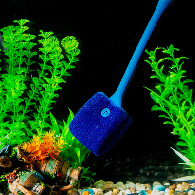 Your one-stop shop for diverse, top-quality aquarium supplies and accessories