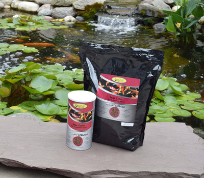 Your one-stop shop for diverse, top-quality aquarium supplies and accessories