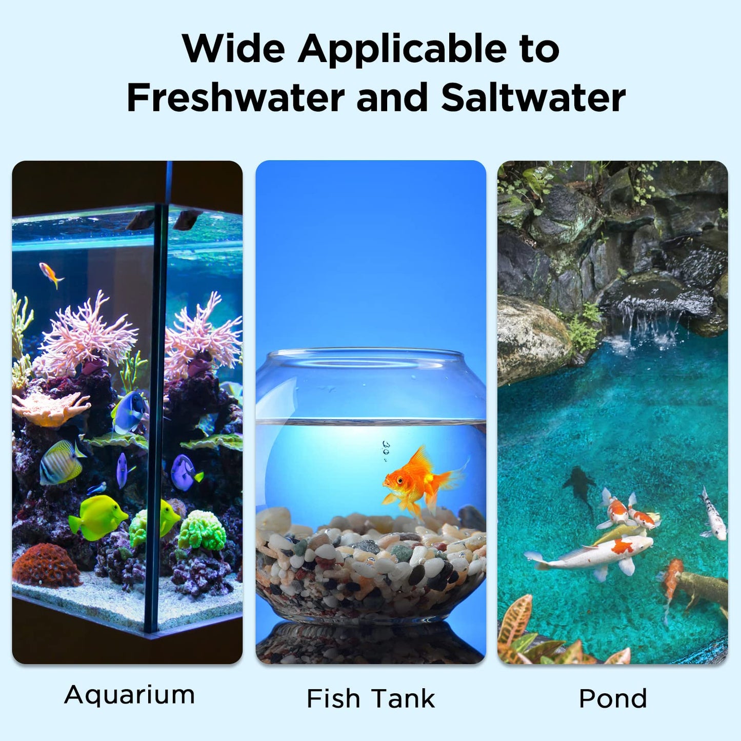 Your one-stop shop for diverse, top-quality aquarium supplies and accessories