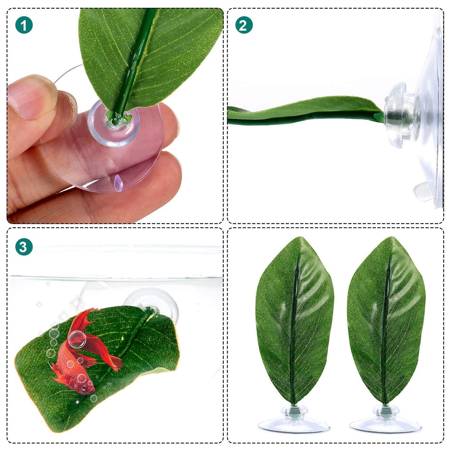 Your one-stop shop for diverse, top-quality aquarium supplies and accessories