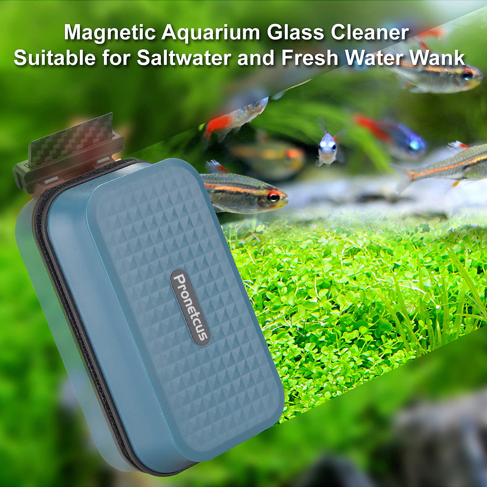 Your one-stop shop for diverse, top-quality aquarium supplies and accessories