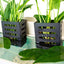 Your one-stop shop for diverse, top-quality aquarium supplies and accessories