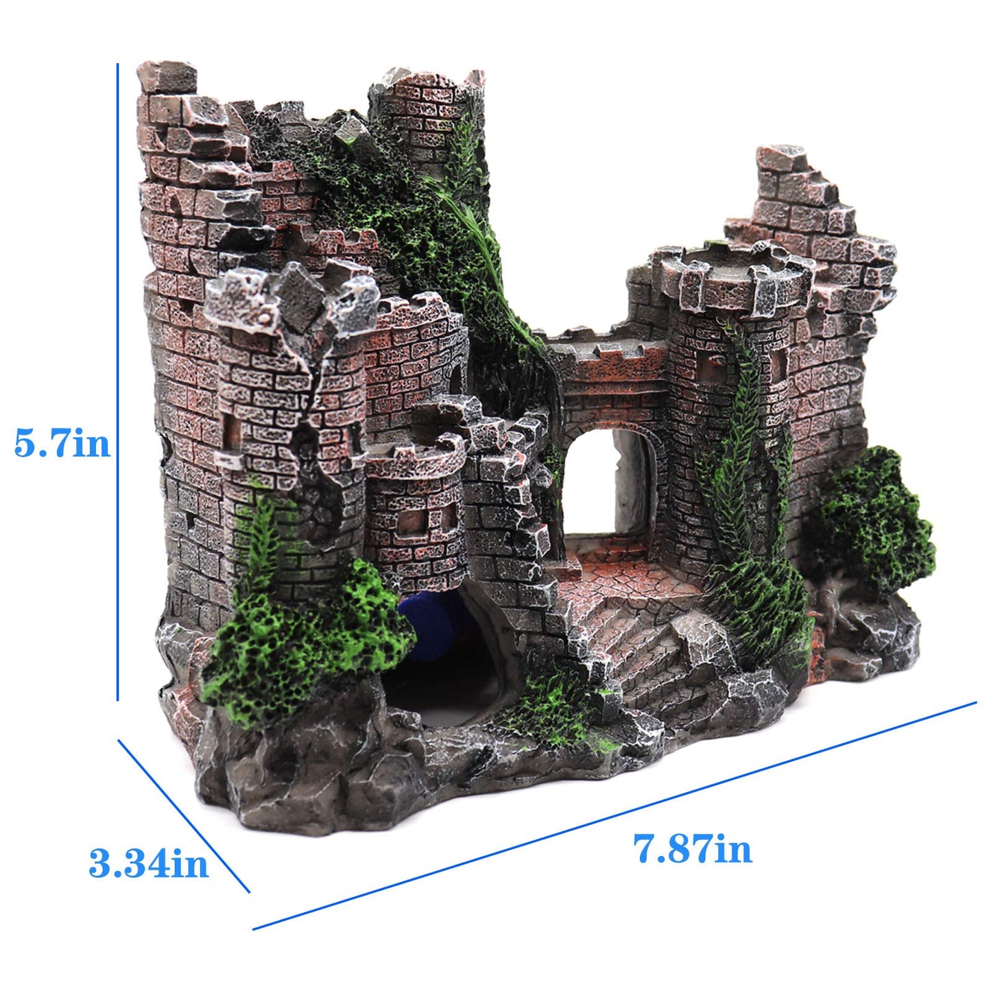 Your one-stop shop for diverse, top-quality aquarium supplies and accessories