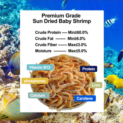 Your one-stop shop for diverse, top-quality aquarium supplies and accessories
