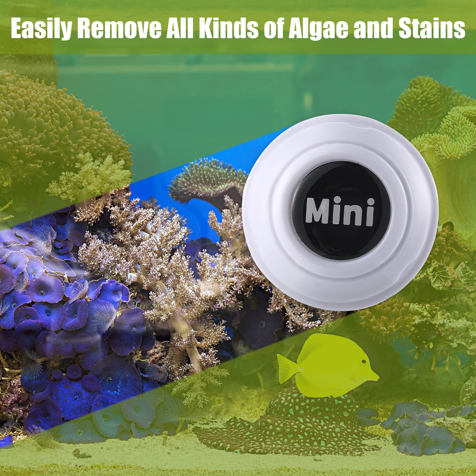 Your one-stop shop for diverse, top-quality aquarium supplies and accessories
