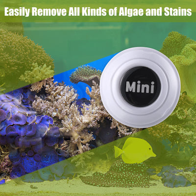 Your one-stop shop for diverse, top-quality aquarium supplies and accessories