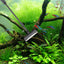 Your one-stop shop for diverse, top-quality aquarium supplies and accessories
