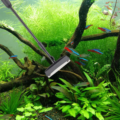 Your one-stop shop for diverse, top-quality aquarium supplies and accessories