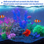 Your one-stop shop for diverse, top-quality aquarium supplies and accessories