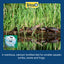 Your one-stop shop for diverse, top-quality aquarium supplies and accessories