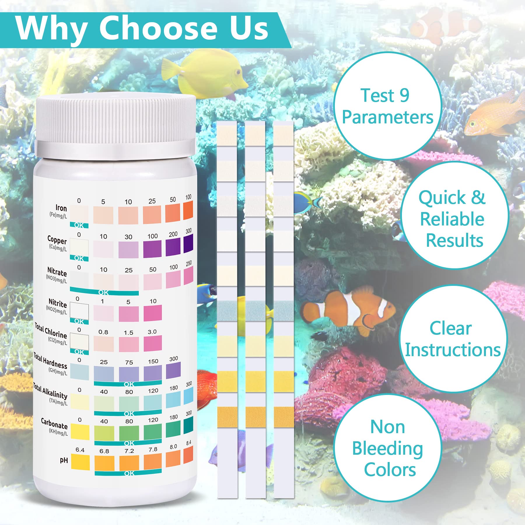 Your one-stop shop for diverse, top-quality aquarium supplies and accessories