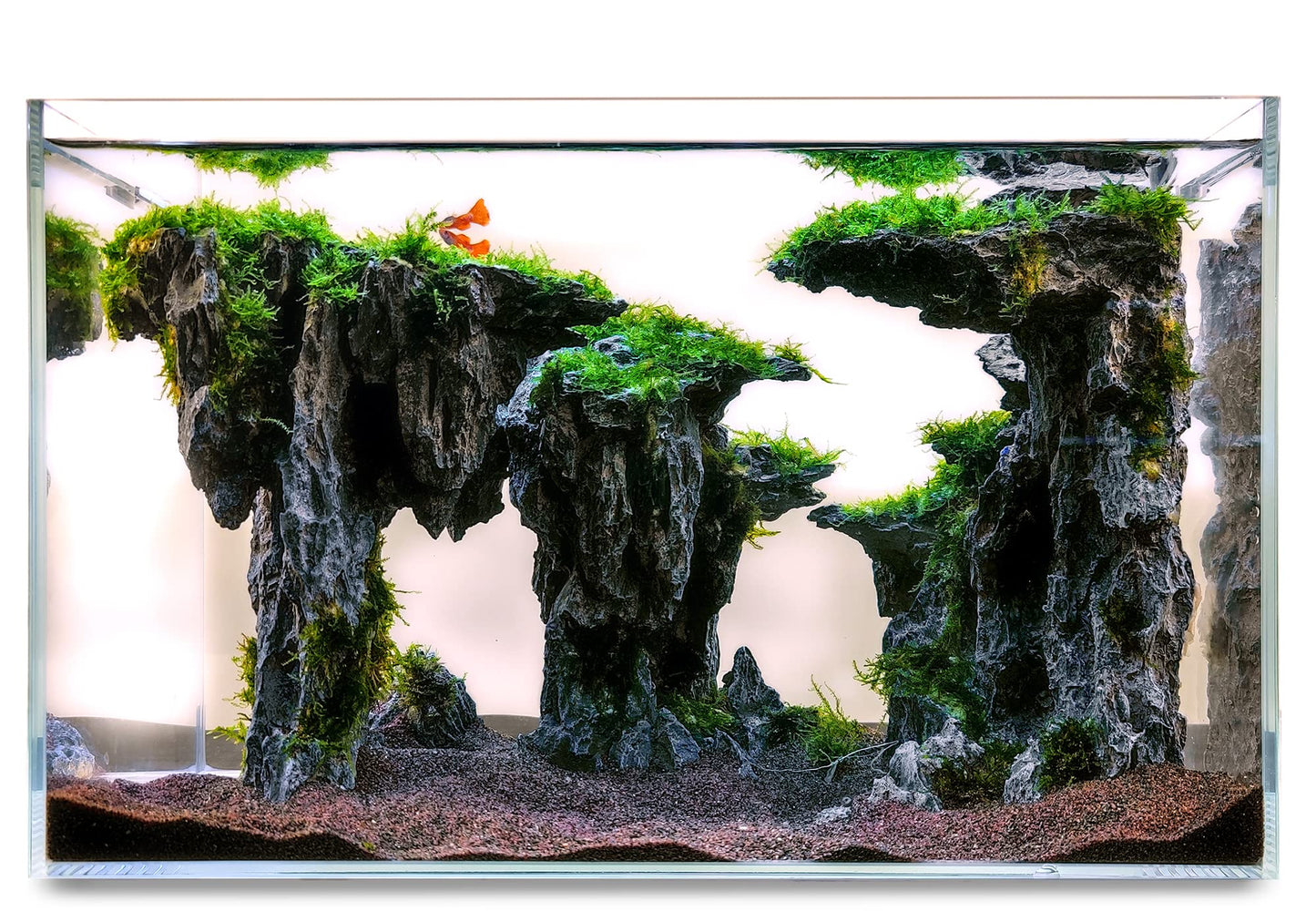 Your one-stop shop for diverse, top-quality aquarium supplies and accessories