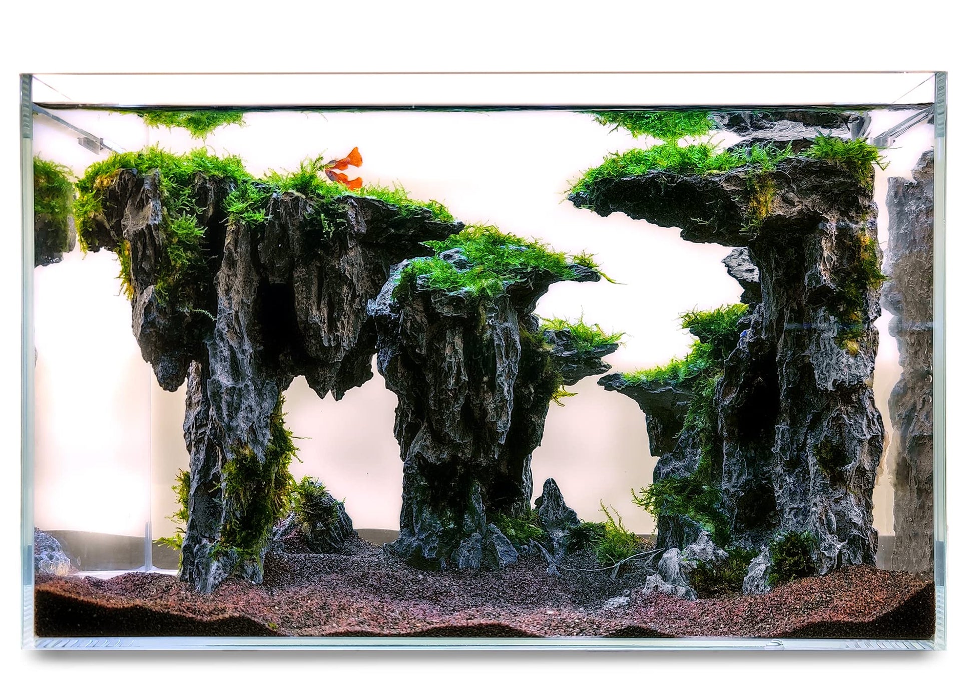 Your one-stop shop for diverse, top-quality aquarium supplies and accessories