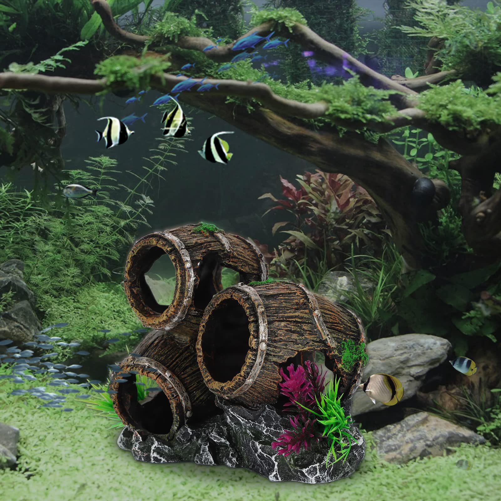 Your one-stop shop for diverse, top-quality aquarium supplies and accessories